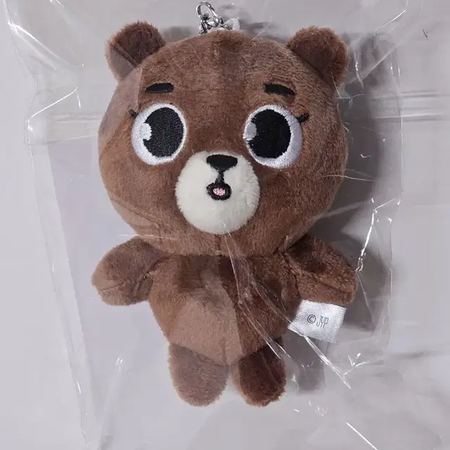 데이식스 일본MD 데니멀즈 백참 방 성진