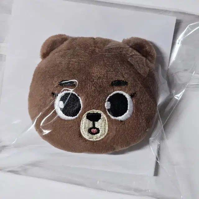 데이식스 일본MD 소프트뱃지 방 성진