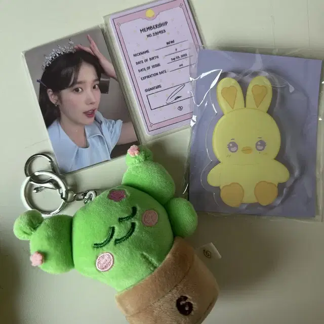 아이유 팬콘서트 토요일 역조공 키트