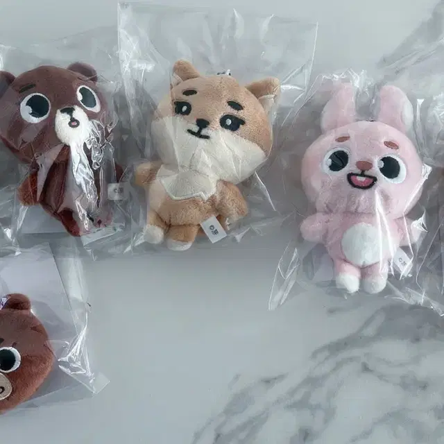데이식스 일본굿즈