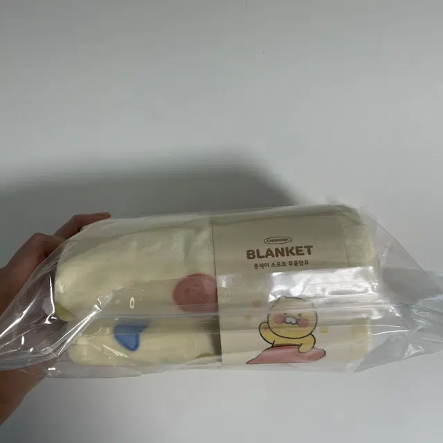 춘식이 블랭킷 담요