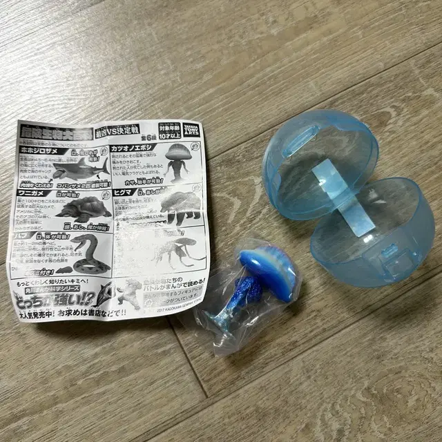 위험생물 대박과 가챠 고깔해파리