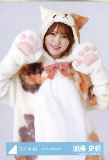 히나타자카46 2024년 신년 아이템 카토 시호 동물 인형옷 츄