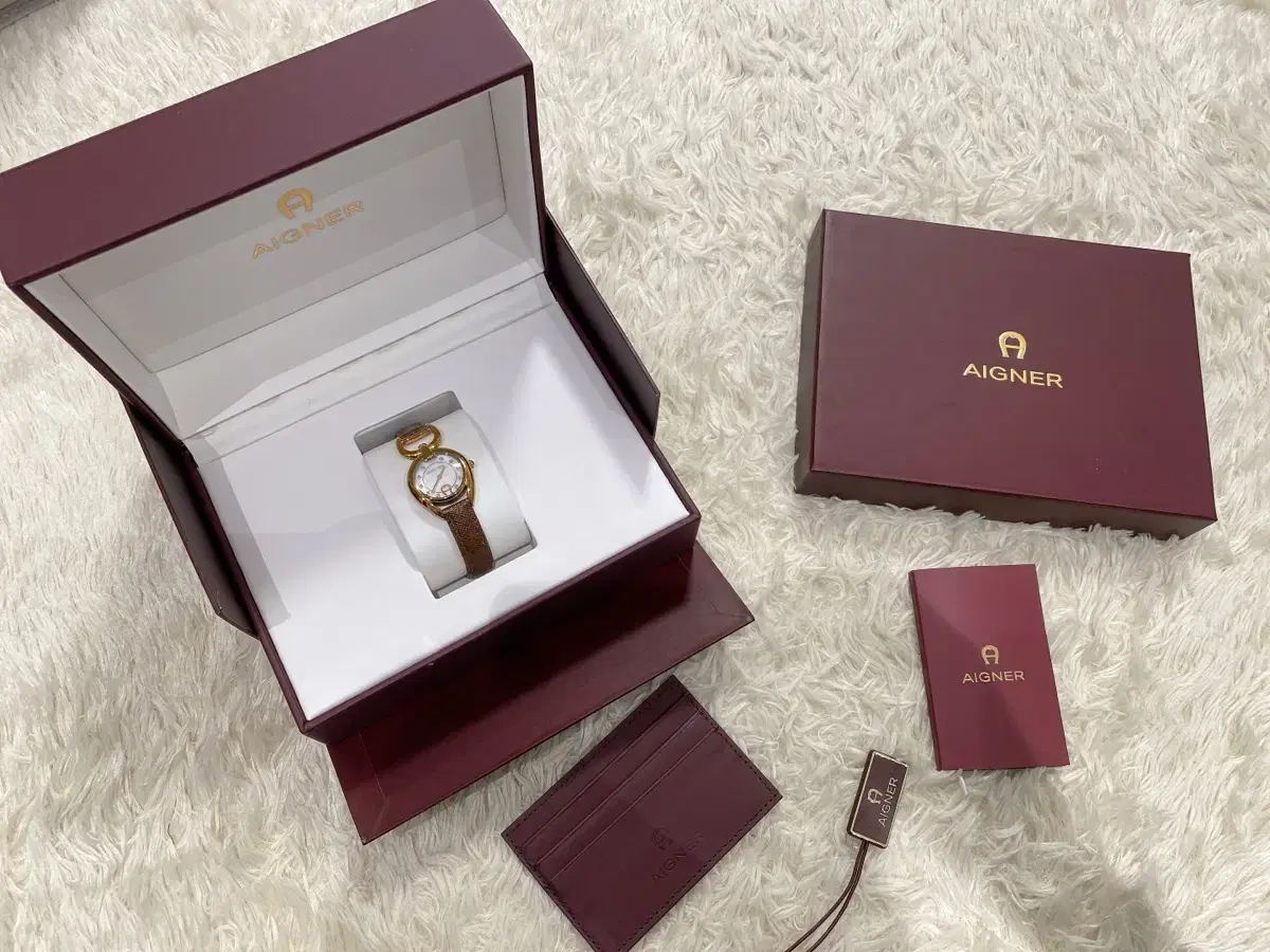 Aigner Women's Wristwatch