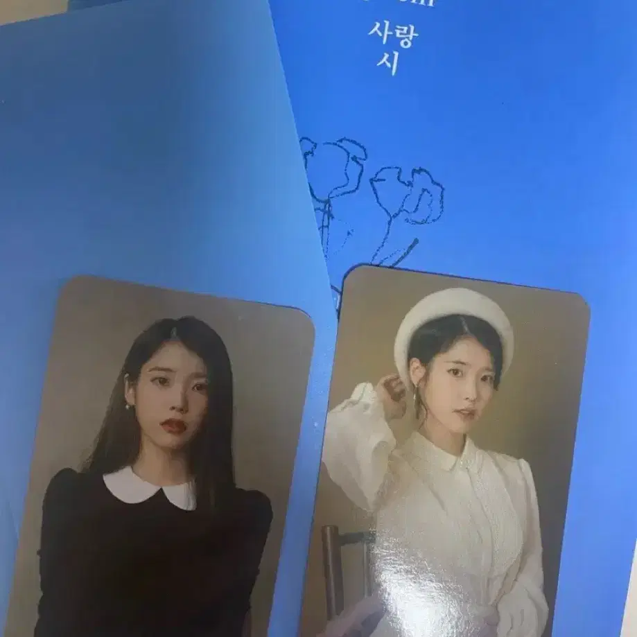 K-POP・アジア IU 2019 SEASON'S GREETINGS 아이유 (IU) 2019 Season's Greetings Calendar Unboxing - YouTube