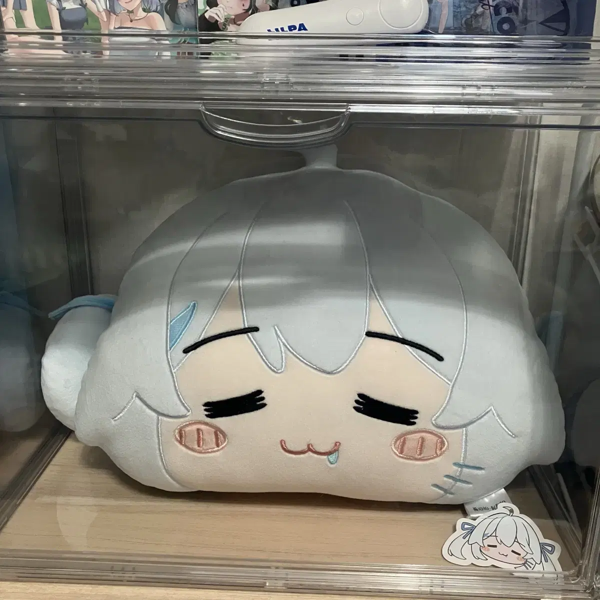 Isegye Idol Gosegu Face Cushion
