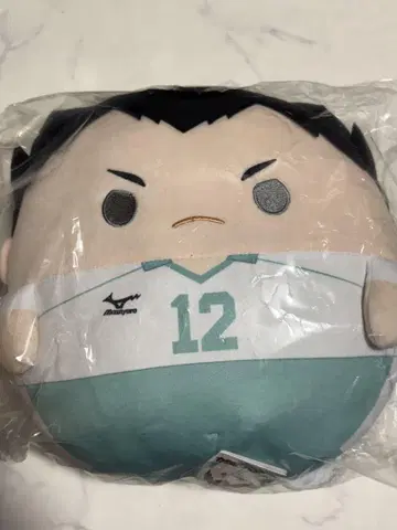 입수 불가  후와코로린 BIG 카네다 이치  특전 SD 인형 하이큐