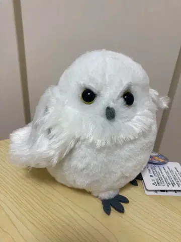 다이토 한정판 마법의 흰 올빼미 코로린 기믹