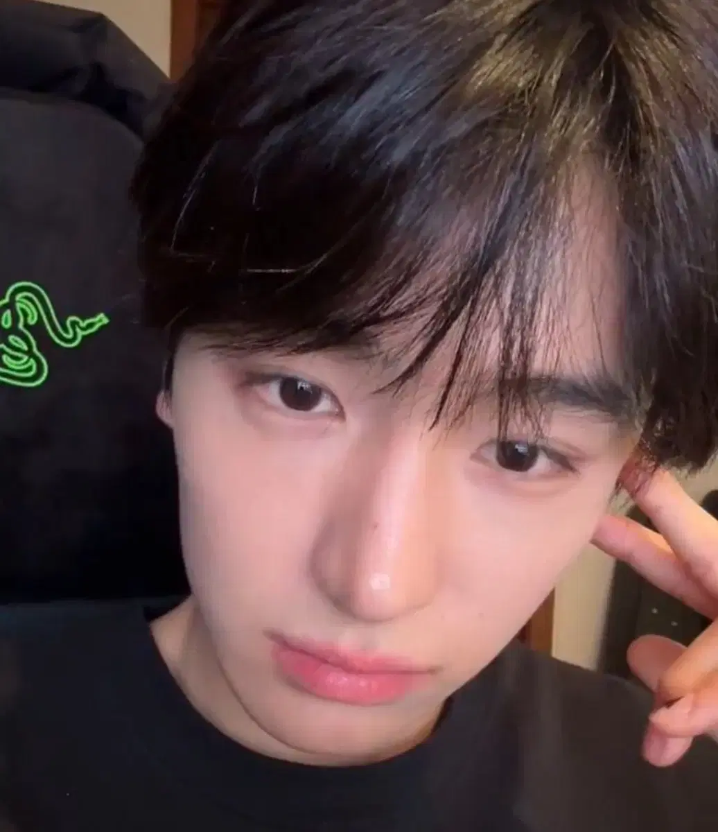 더보이즈 엔시티 크래비티 굿즈 팝니다