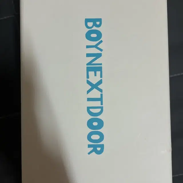 (급처!)보이넥스트도어 응원봉 판매(포카x)
