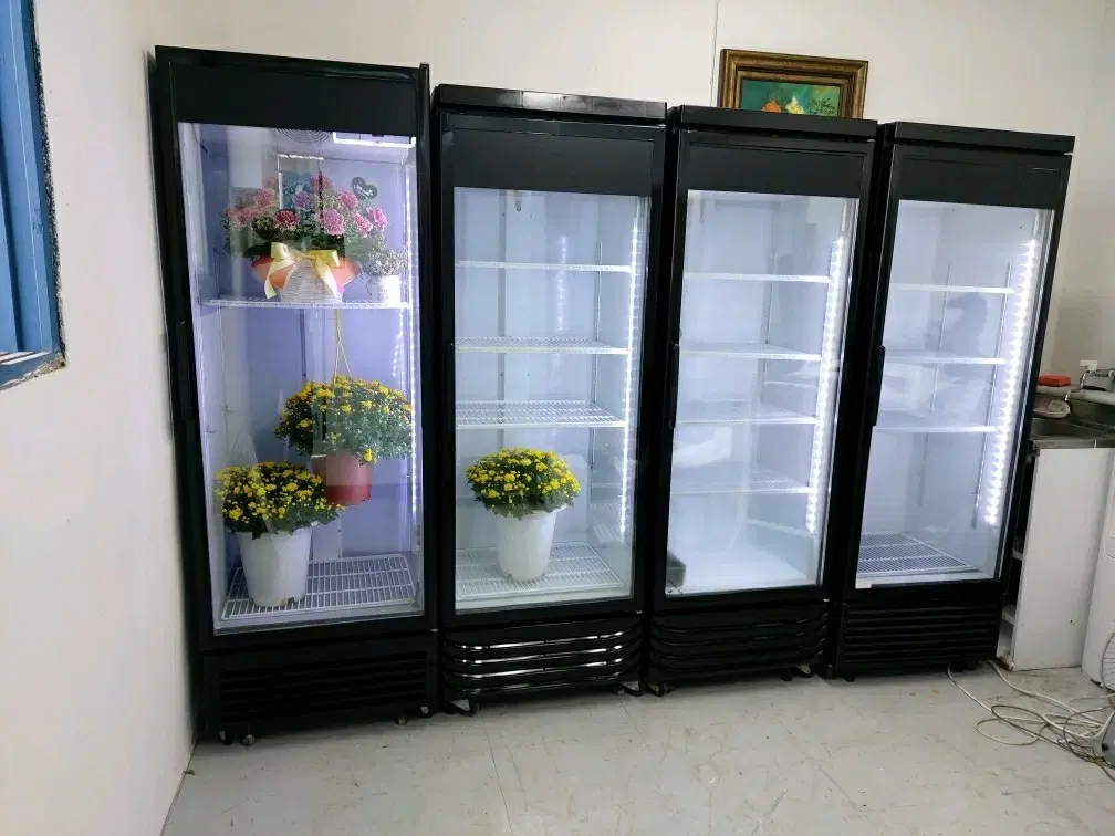 올블랙 음료수냉장고 업소용냉장고 주류냉장고 쇼케이스냉장고