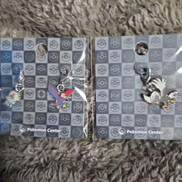포켓몬 메탈 참 전국 도감 워그루