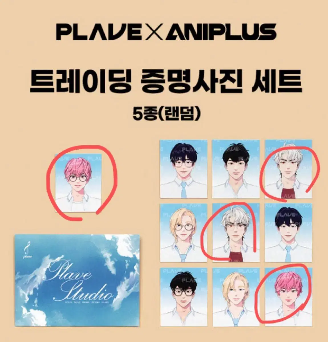 플레이브 애니플러스 증명사진 증사 양도 밤비은호