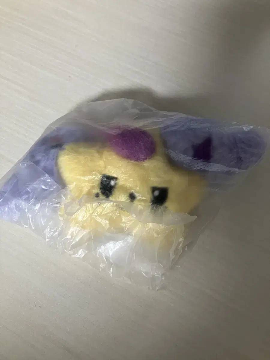 앤시티 위시 위츄 샄츄 윳츄 댕츄 숀츄 팝팝 시온 유우시 재희 사쿠야