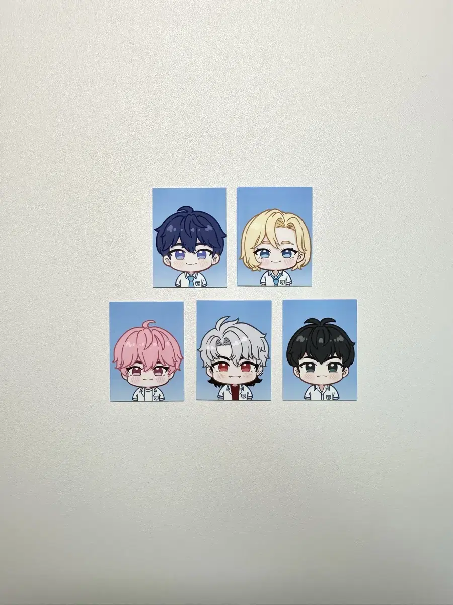 플레이브 증명사진 비공굿