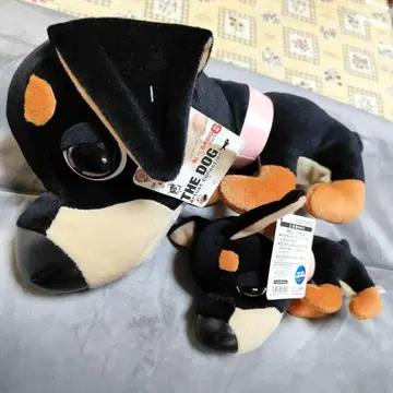 더 도그 치와와 2개 세트