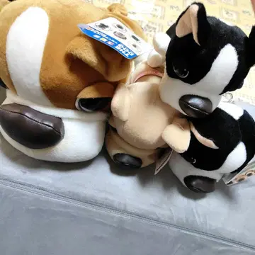 더 도그 불독 4개 세트