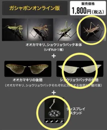 생물대도감 어드밴스 온라인판 쇼료바타