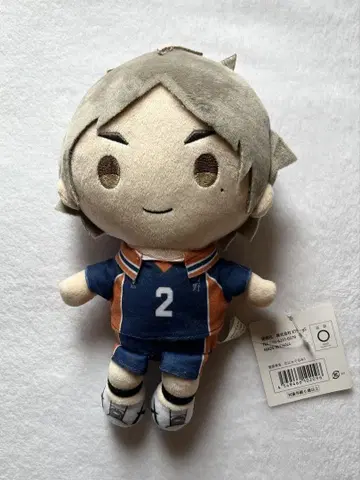 하이큐 스가하라 코시 무니구루미 S 봉제 인형
