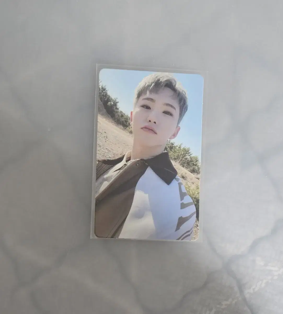 세븐틴 호시 페더썬 위버스 특전 포카 양도