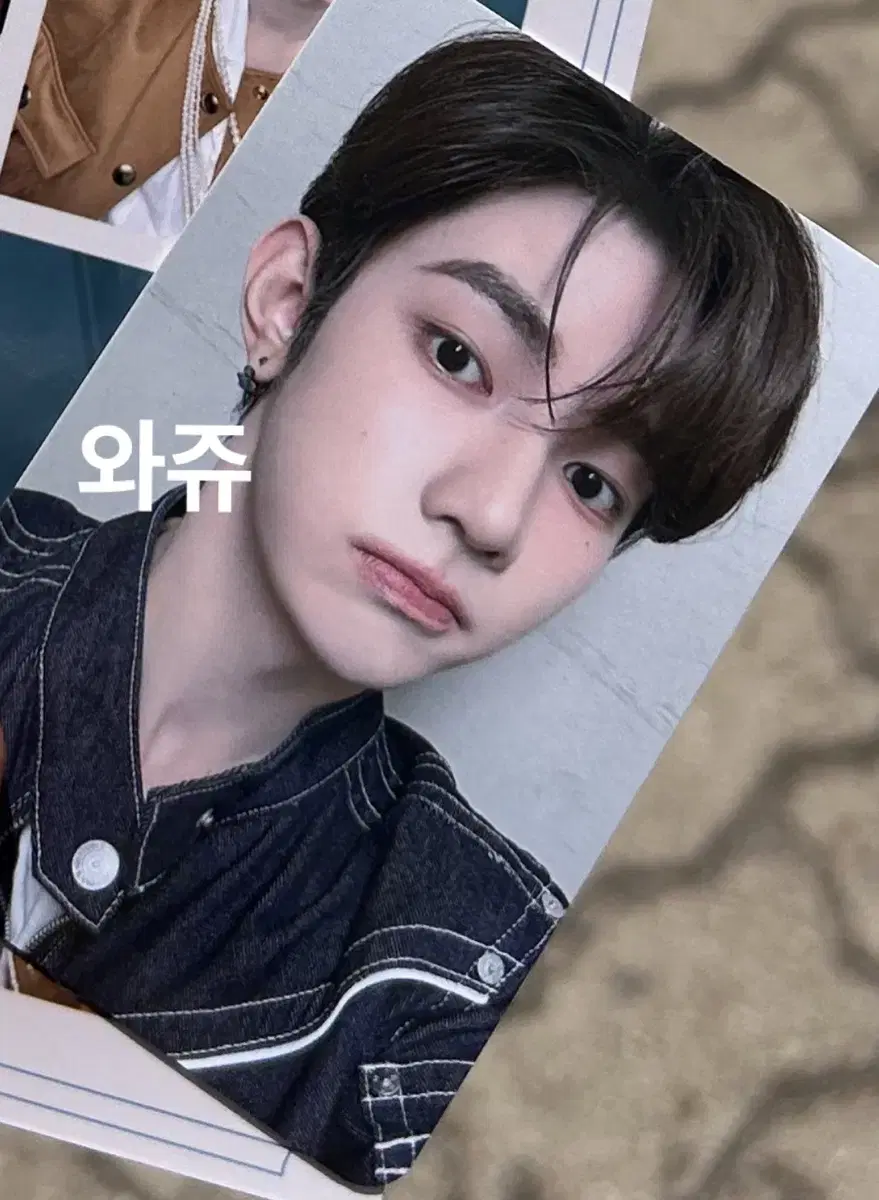 컨페티 덤) 제로즈존 막콘 장하오 포카 제베원