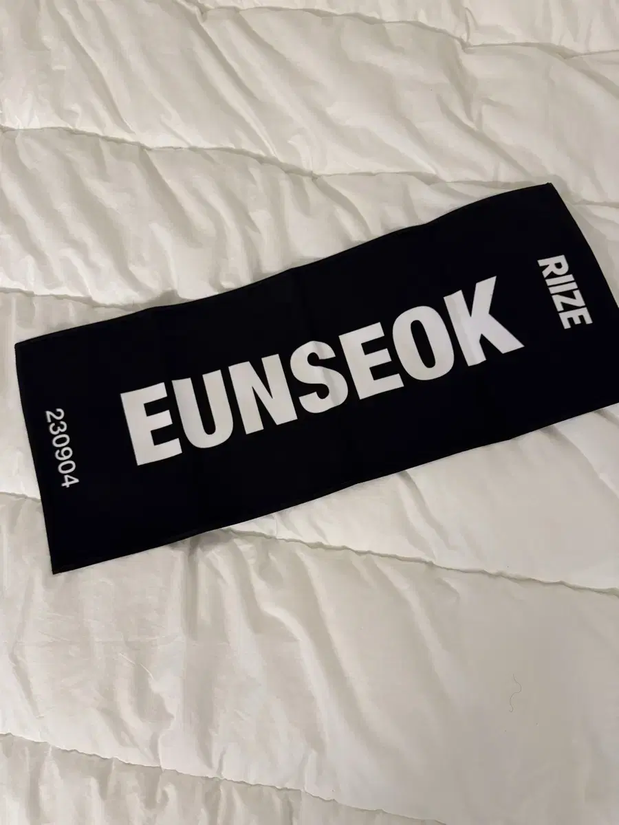 라이즈 은석 공식 슬로건 양도