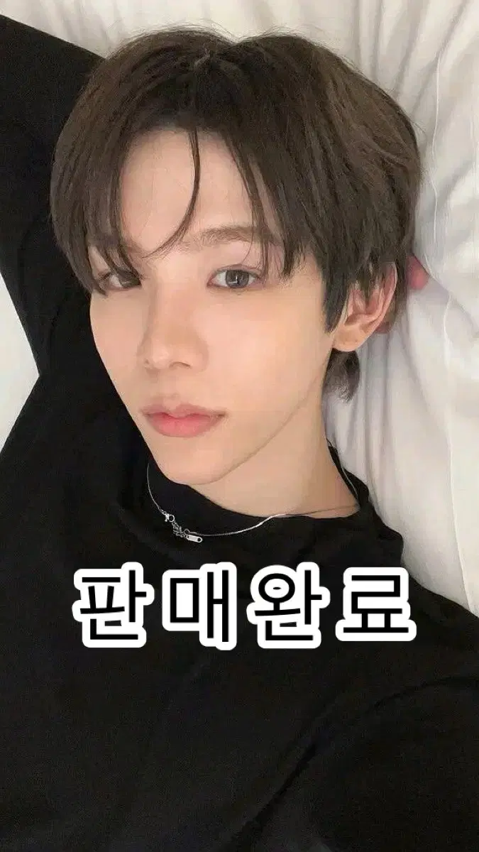 라이즈 쇼타로 시그 포카