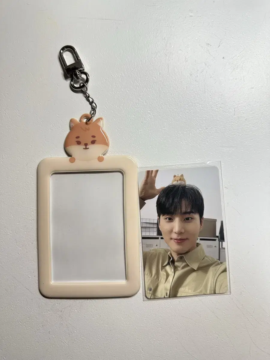 데이식스 영케이 쁘띠멀즈 쁘띠케 포카홀더 엠디 벚꽃콘 포토카드
