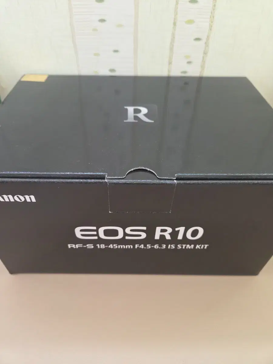 캐논 r10 18-45 킷