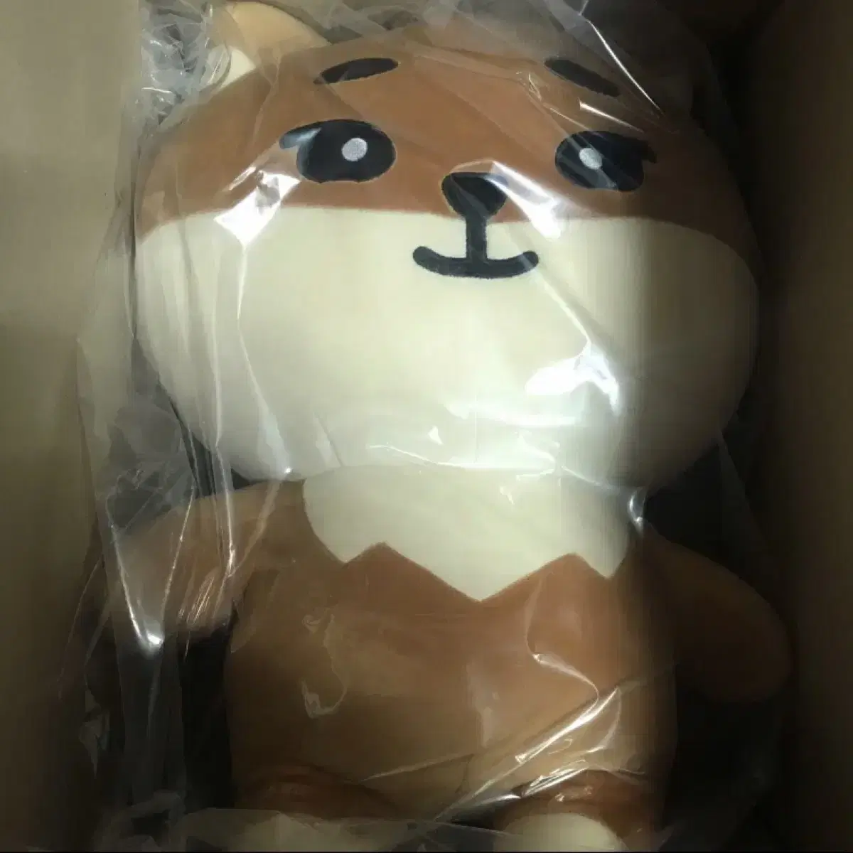 포카폴라포함 자이언트 데니멀즈 데이식스 영케이 케 강영현