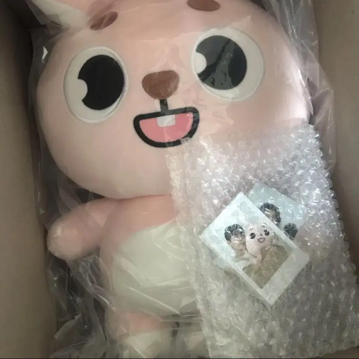 포카폴라포함 자이언트 데니멀즈 데이식스 원필 필