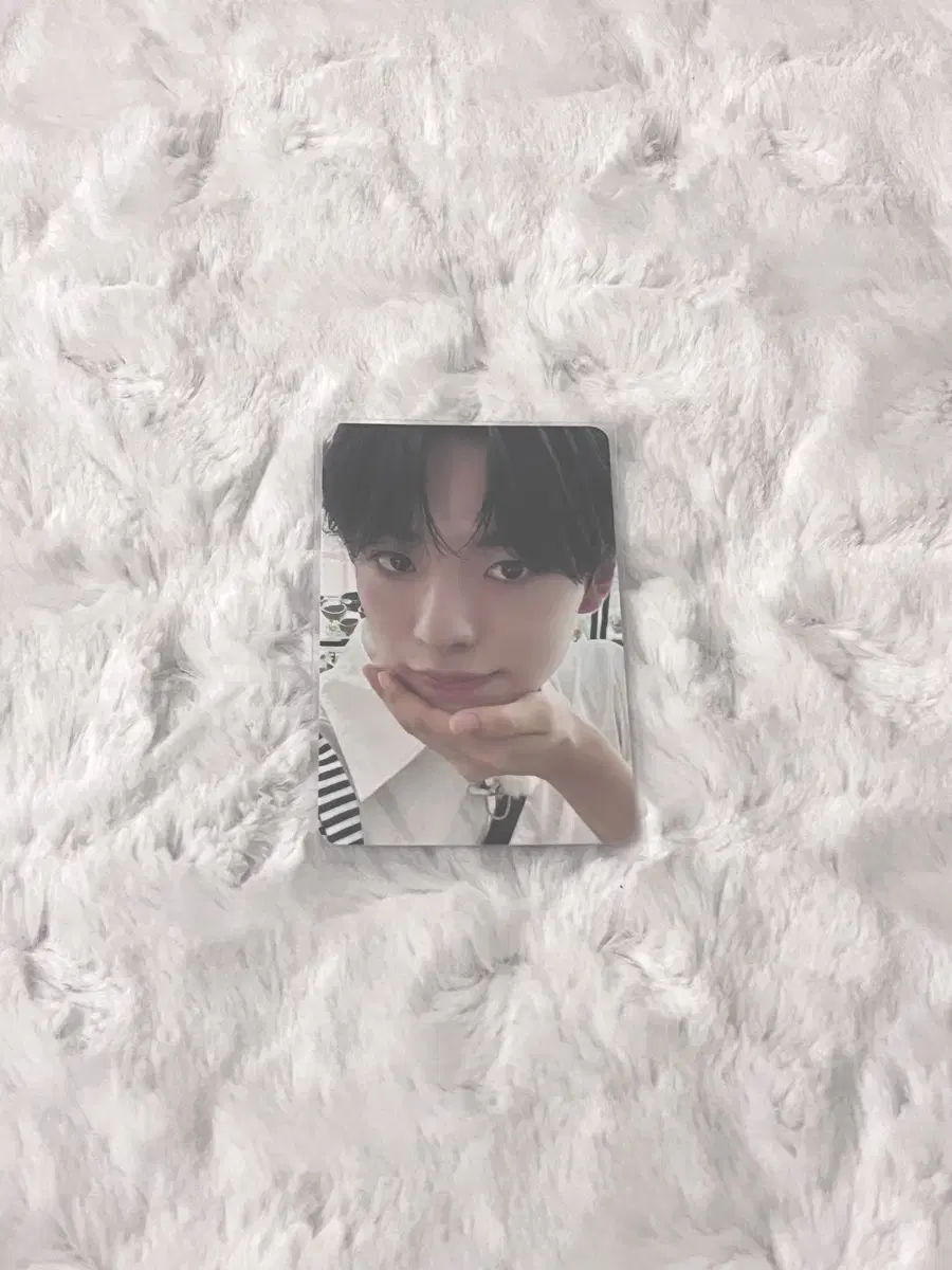 엔시티 위시 유우시 스테디 애플뮤직 포토카드 양도