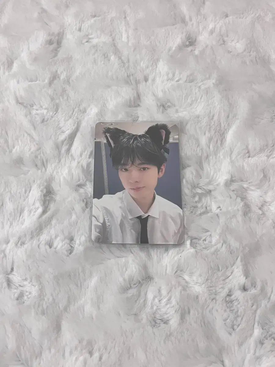 엔시티 위시 유유시 스테디 애플뮤직 고양이 귀 포토카드 양도