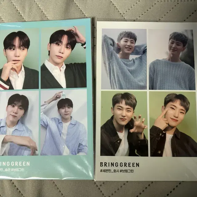브링그린 세븐틴 승관 호시 4컷 특전 일괄