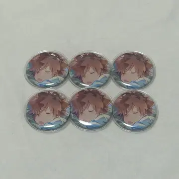 가정교사 히트맨 REBORN 리본 사와다 츠나요시 캔뱃지