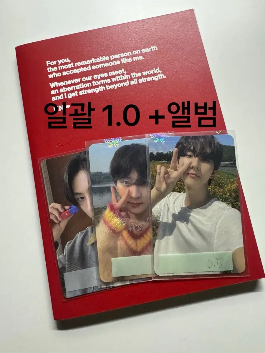 엔하이픈 정원 성훈 니키 선우 제이 제이크 희승