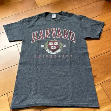! HARVARD 대학에서 구매한 티셔츠 !