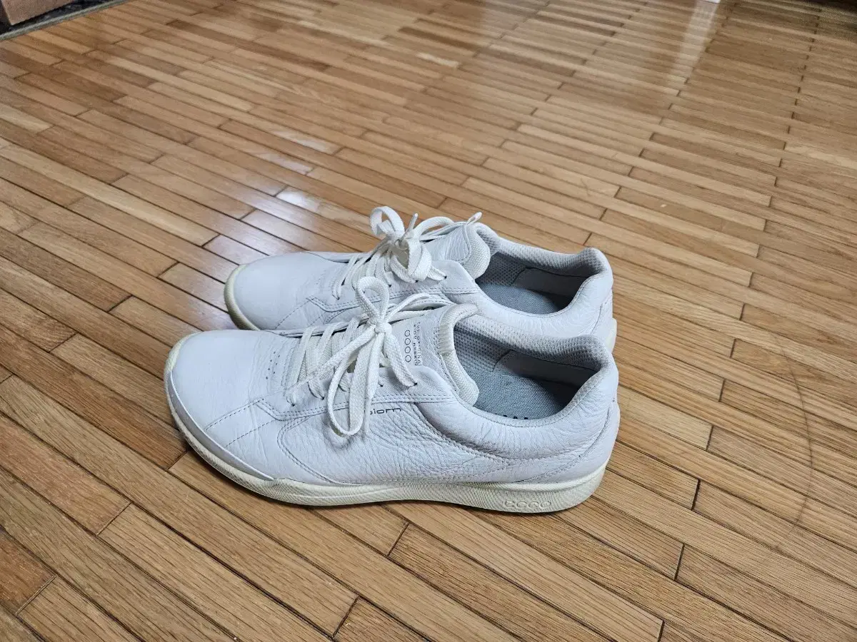 Eco Biome Hybrid Golf Shoes