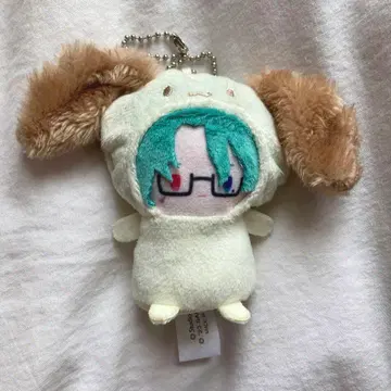 아쿠네코 나쿠 파페라 산리오