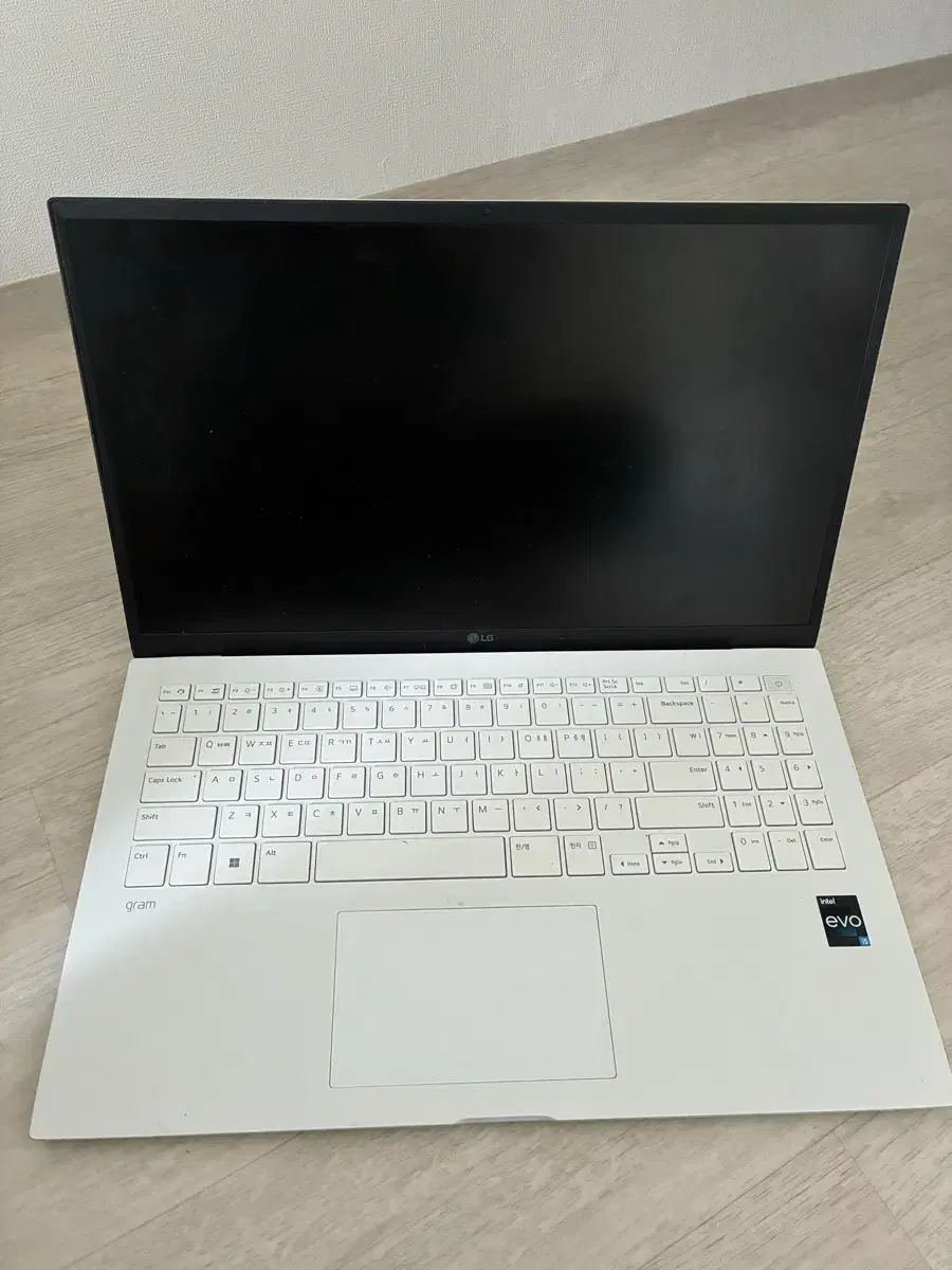 LG 그램 15인치 노트북 (대학생 공부용)