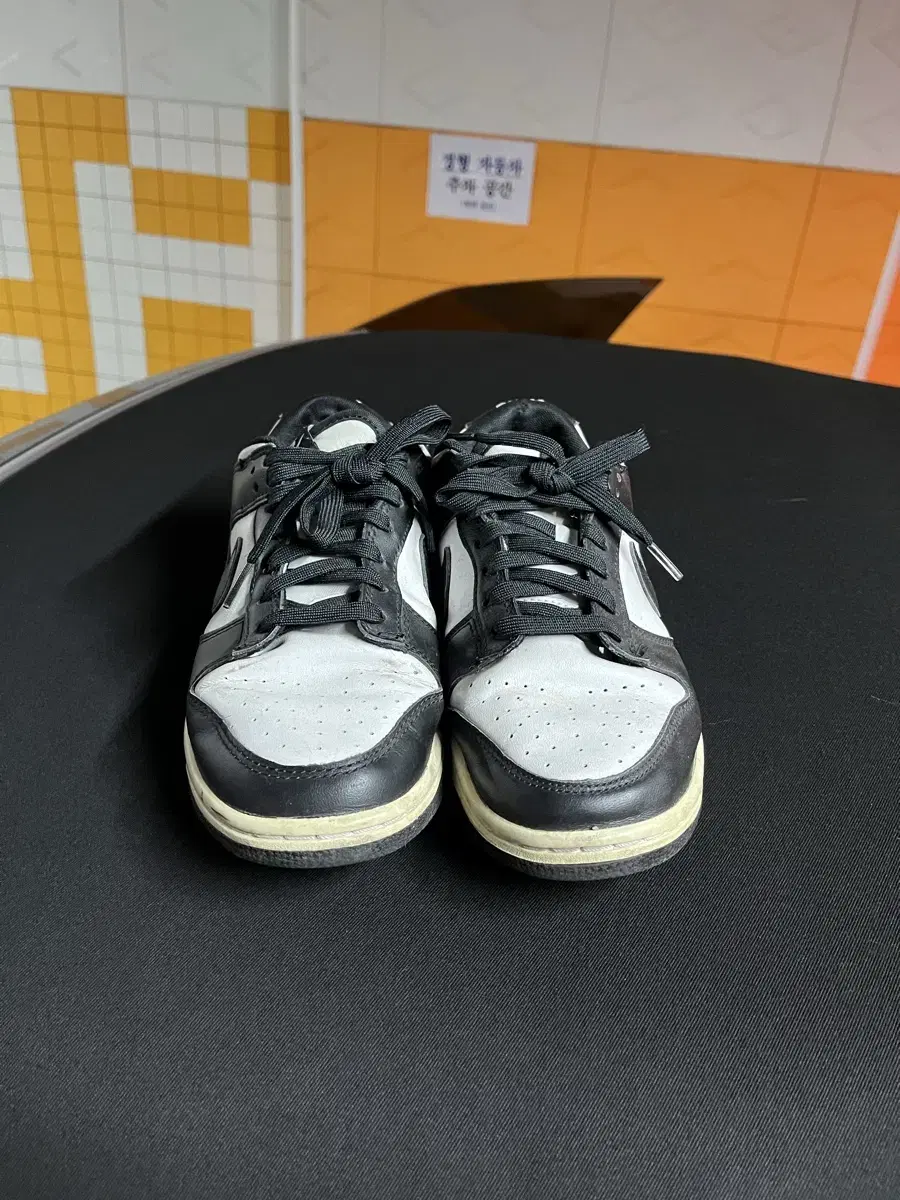 나이키 덩크로우 범고래 260