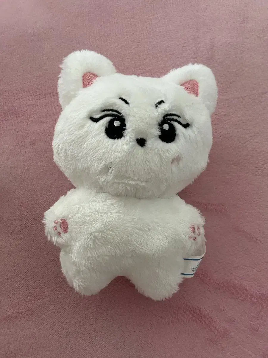 엔하이픈 정원 인형 양꼬미