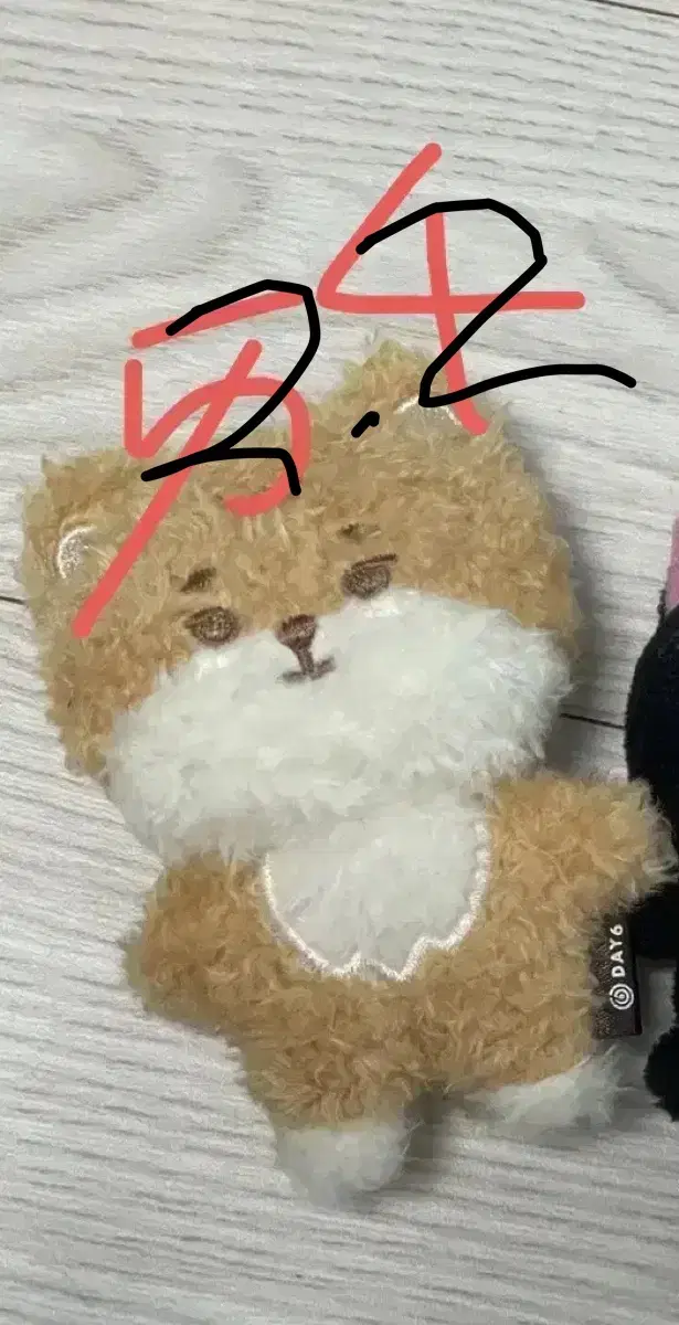 쁘띠멀즈 케 마그넷 7cm  데이식스 영케이 / 깜냥케 비공굿