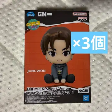 ENHYPEN의 스탈팝 피규어 정원 3개 세트