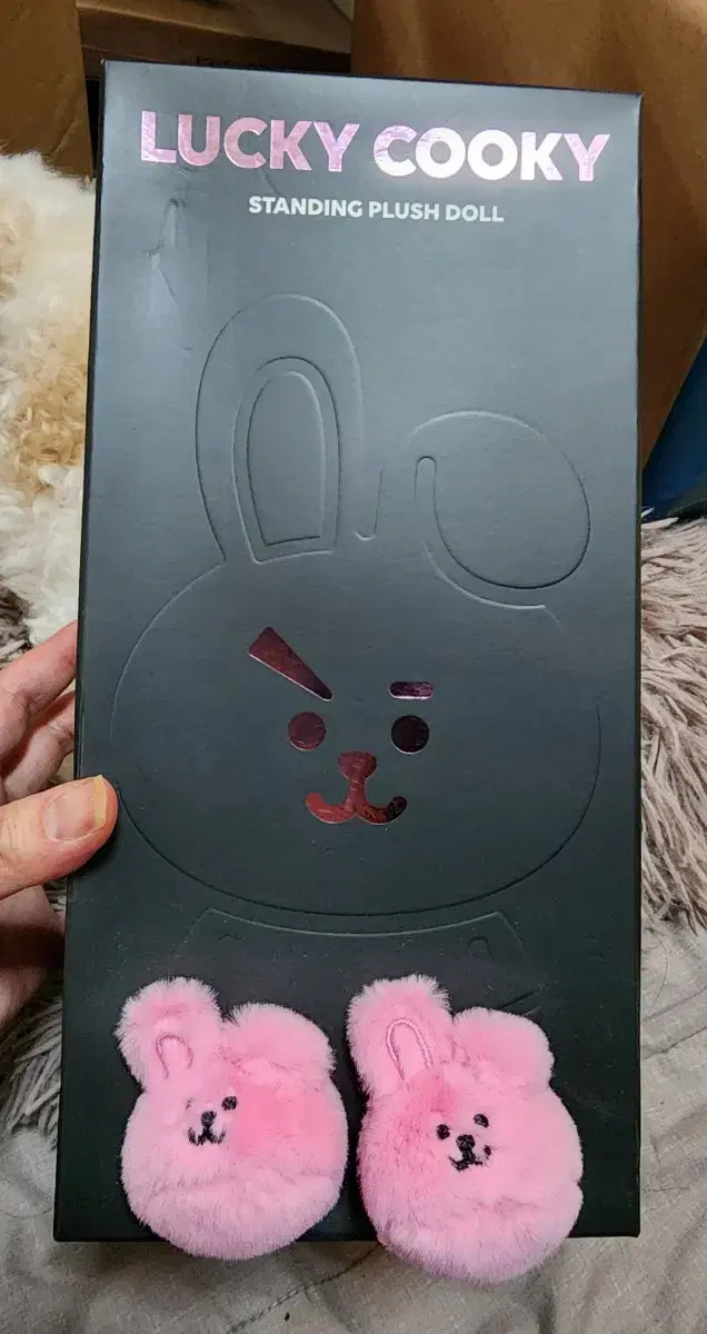 BT21 럭키 쿠키 블랙 에디션