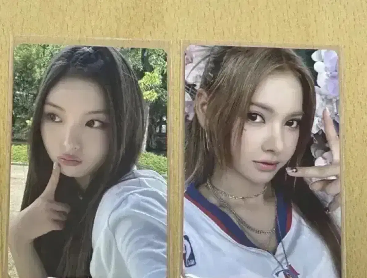 세이마이네임 일본 에버라인 카니 승주 포카