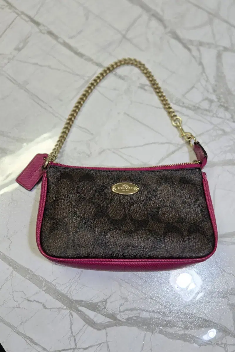 Authentic Coach Signature Mini Shoulder Bag (Norita 19 Bag)