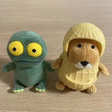 바와 케로