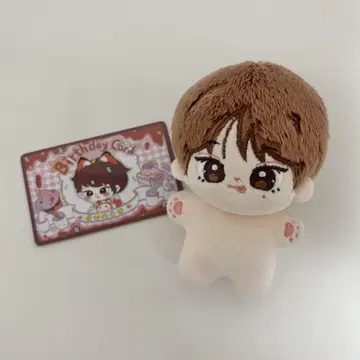 enhypen 선우 봉제 인형 마스터