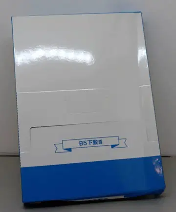 GRANUP 도쿄 리벤저스 레트로 모던 1BOX (8매) B5 책받침